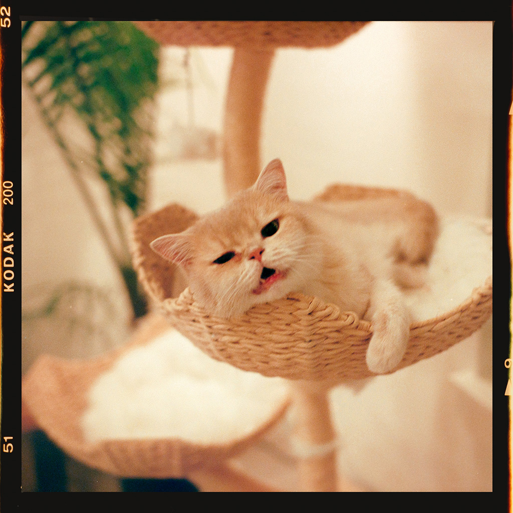 Hobby Photo 1